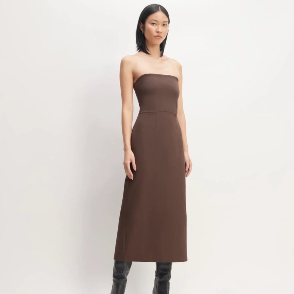 Everlane Chocolate Strapless Dress